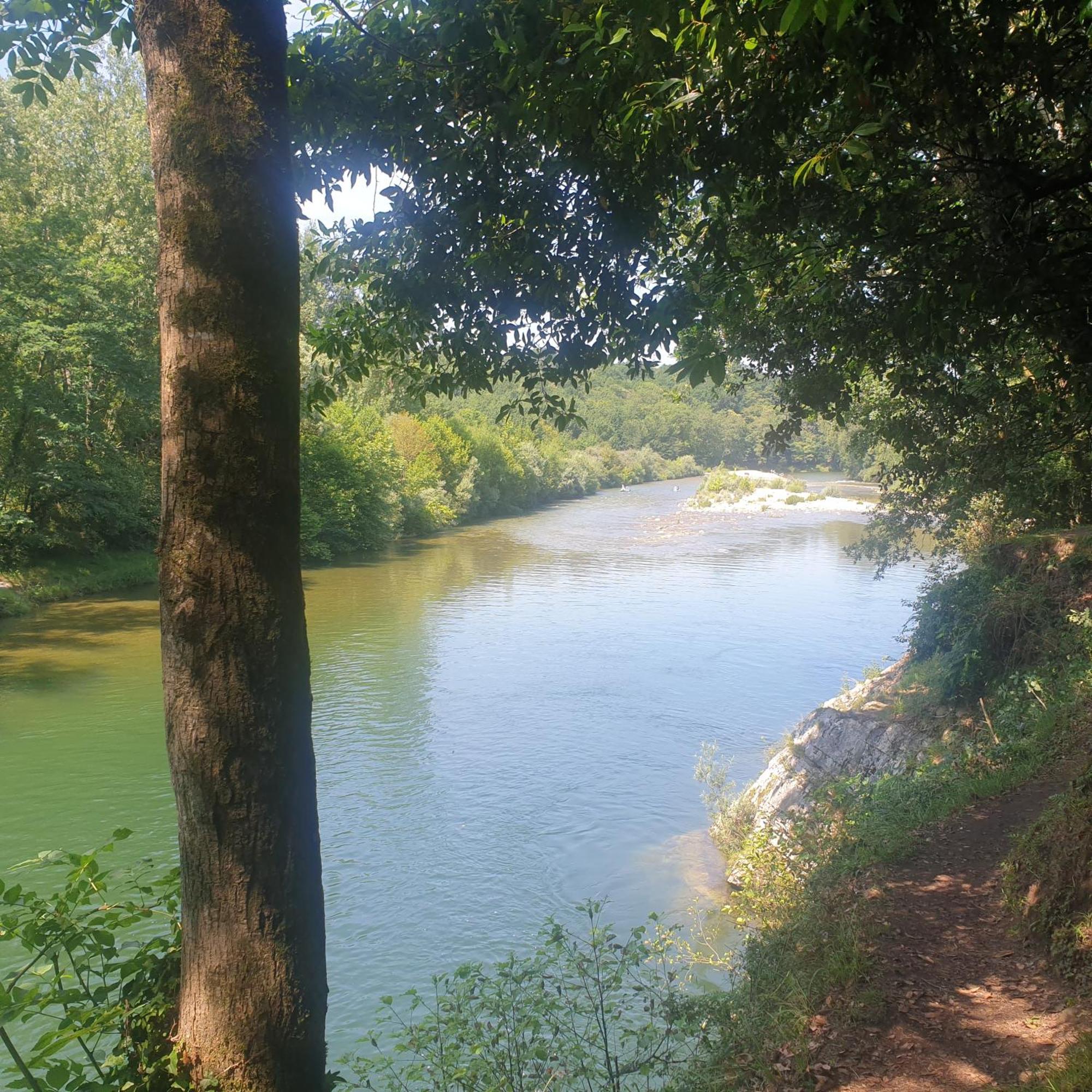 El Buho De La Remolina Bode