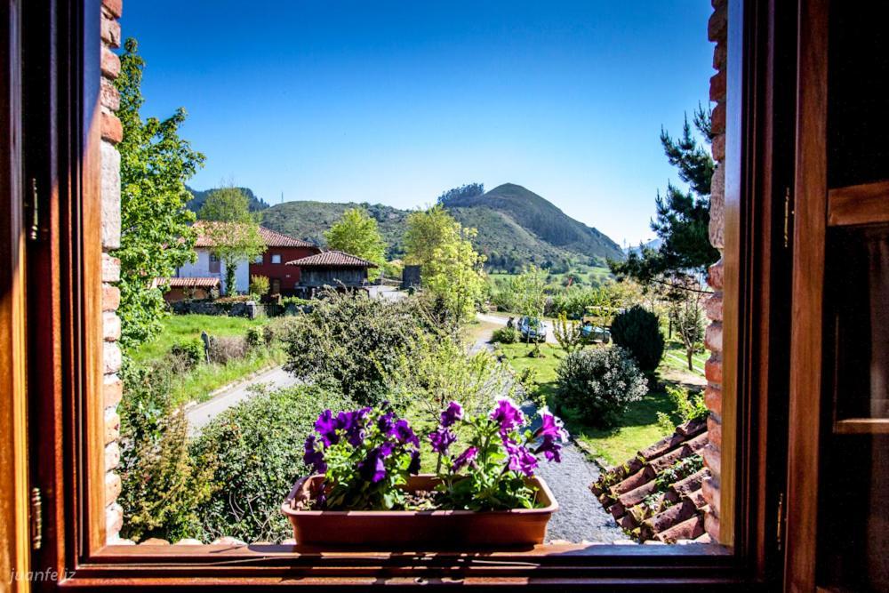 El Buho De La Remolina Country house